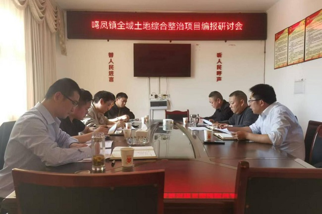 从蓝图“设计师”到产业“兴链人”——青年党员刘若鹏的融合新路