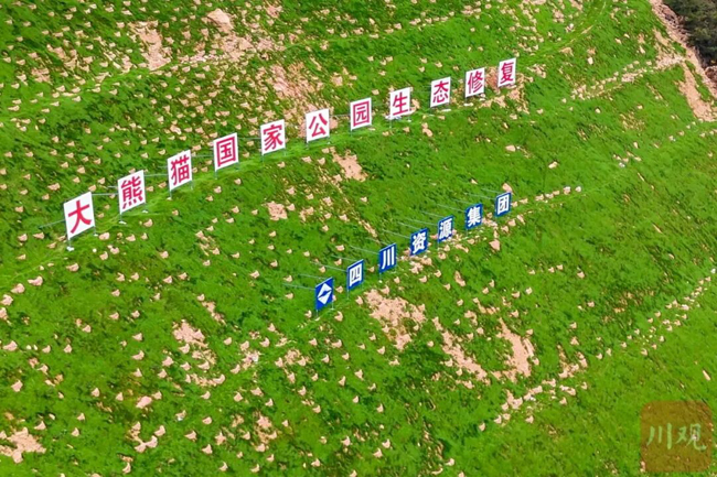 1764594672321424.jpg 5.jpg